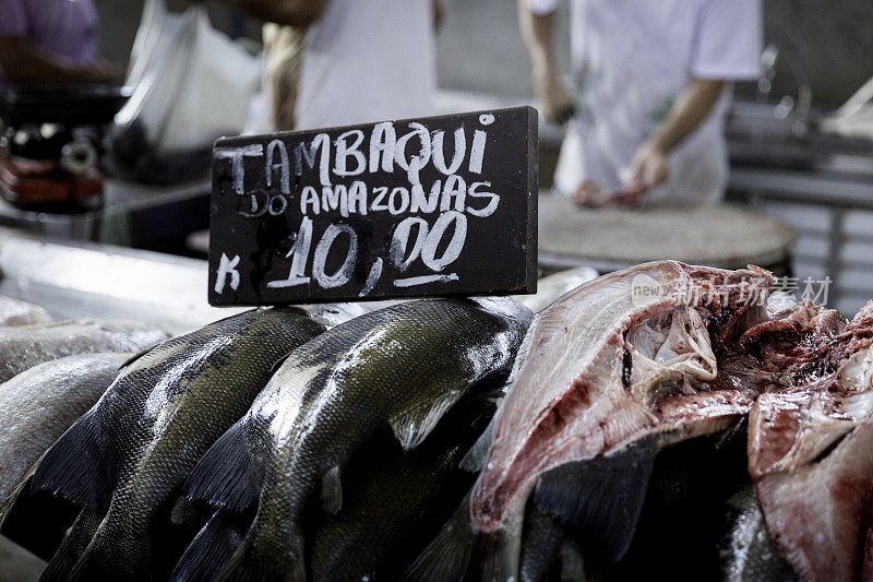 亚马逊地区的新鲜鱼类和鱼片在著名的韦-o-比索公共市场- Tambaqui do Amazonas